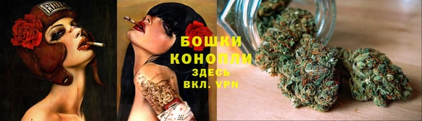 трава Бронницы
