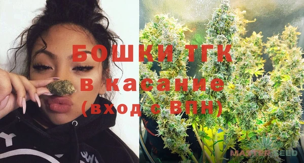 эйфоретик Бородино