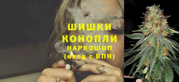 эйфоретик Бородино