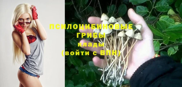 спиды Бугульма