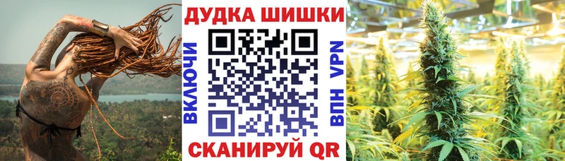 купить  сайты  Вилюйск  Шишки марихуана SATIVA & INDICA 